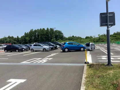 Spice Bingo Casino Mobile App